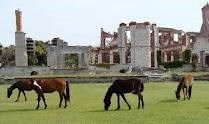 Cumberland Island National Seashore