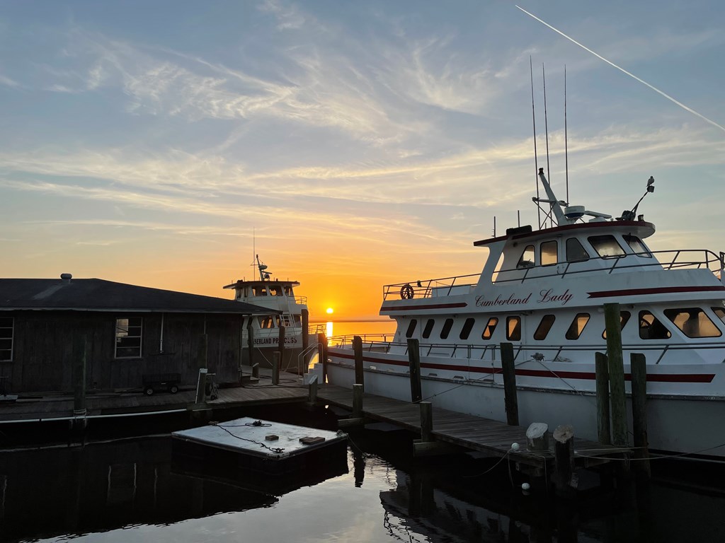 Cumberland Island Ferry Tips: What to Know Before You Go