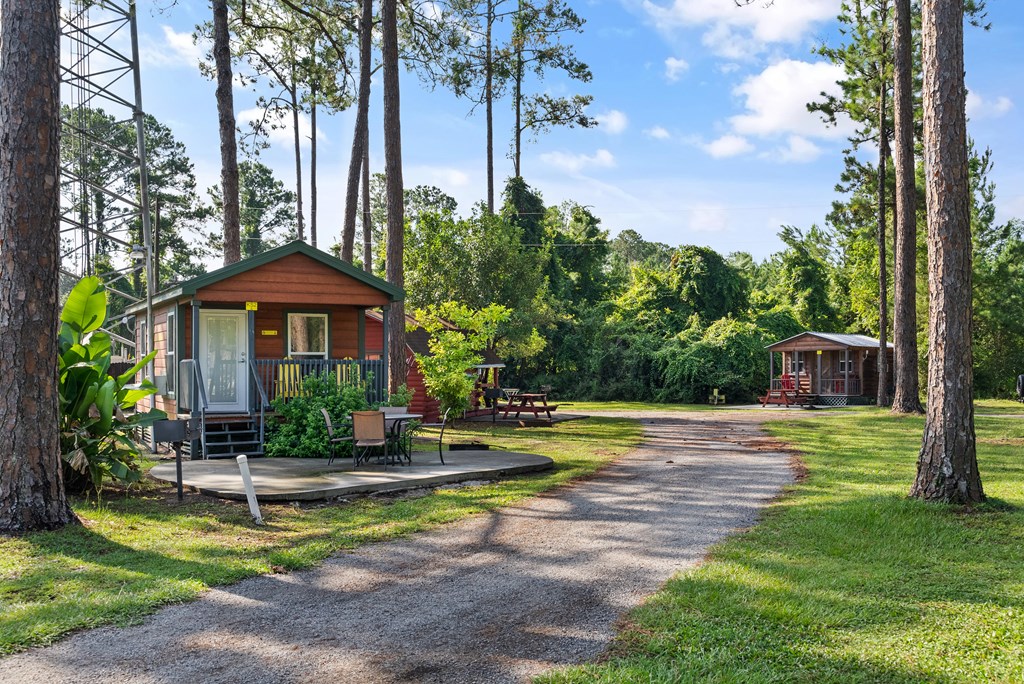 The Best Cabin Camping Near Jacksonville, FL