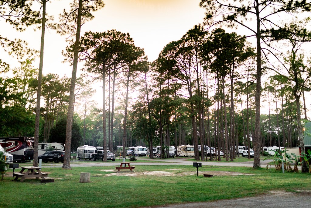 RV Parks Along I-95 in Georgia: Your Guide to the Best Stops Between Florida and Savannah