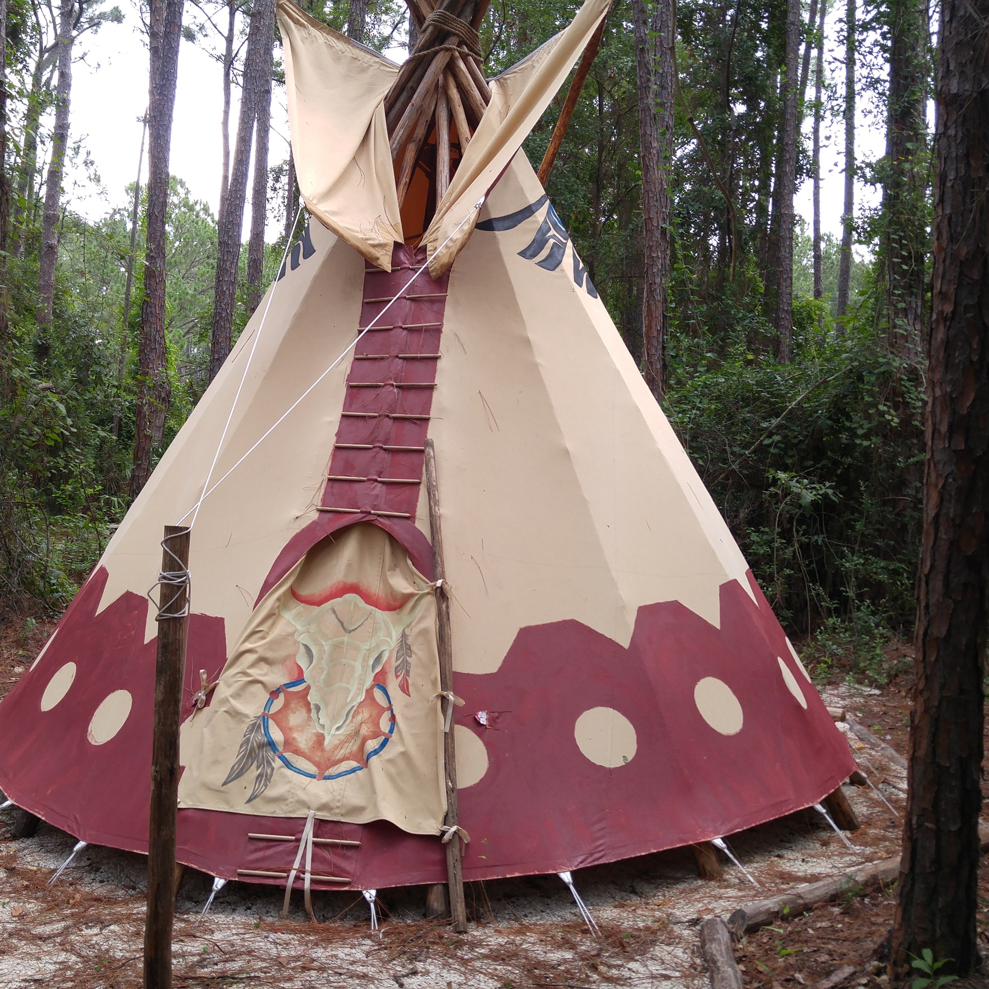 Kingsland Georgia Campground Jacksonville North St Marys Koa