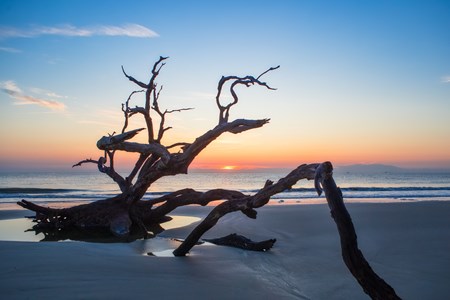 Jacksonville North / St. Marys KOA Holiday