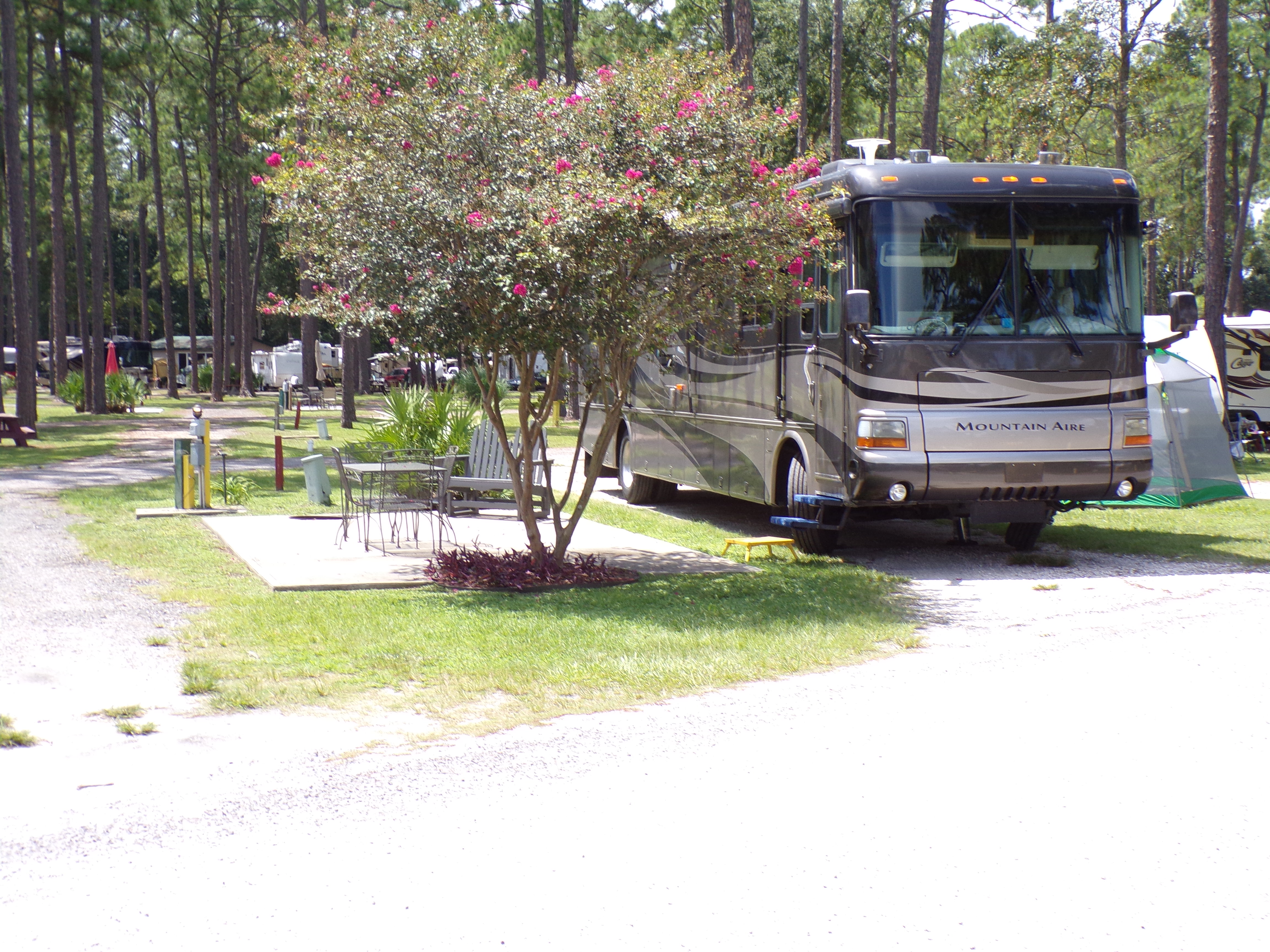 RV Camping & Park Along I95 in GA Jacksonville North KOA