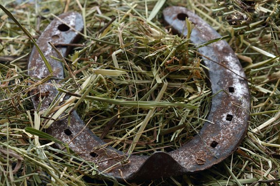 Horseshoes