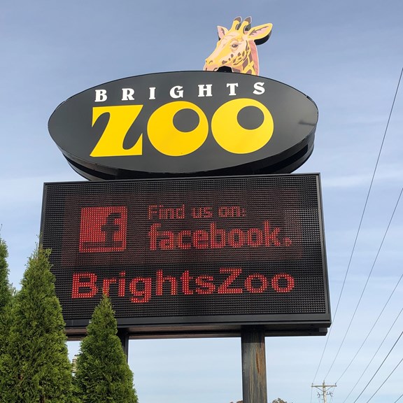 Bright's Zoo
