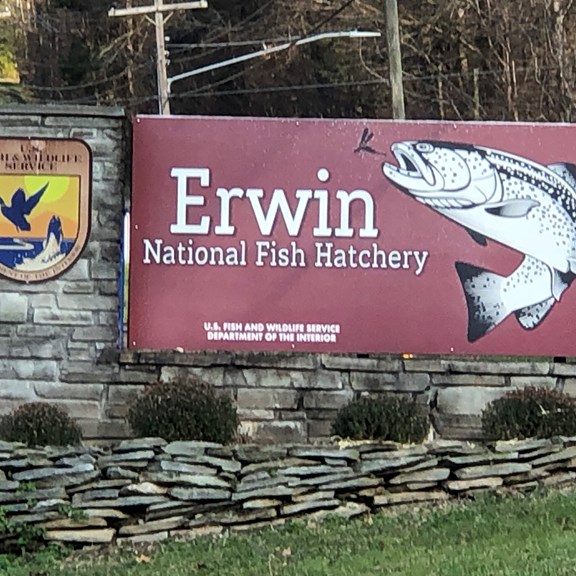 Erwin National Fish Hatchery