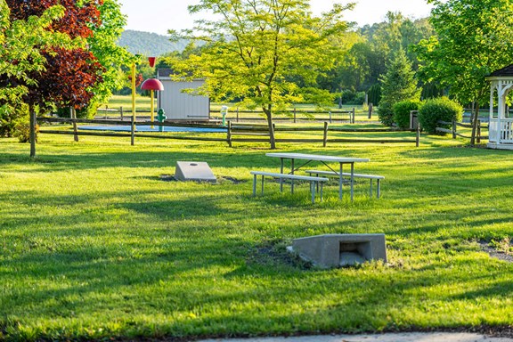 Cornhole