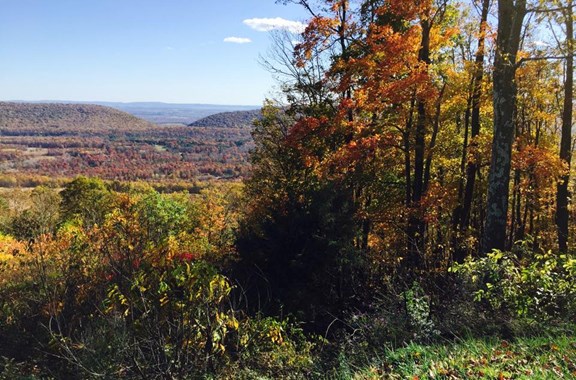 Second Mountain Hawk Watch