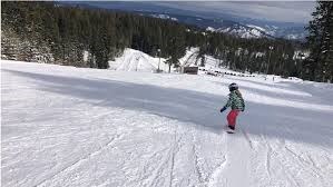 Skiing