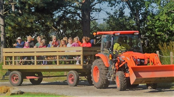 Saturday Night Wagon Rides