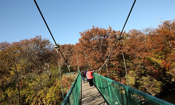 Kankakee River State Park - Hiking, Biking, Fishing, Canoeing (15 miles)