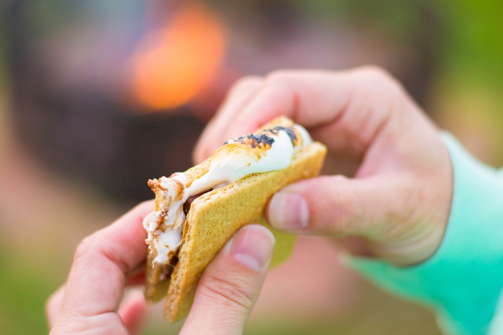 The Art of Crafting the Perfect S'more