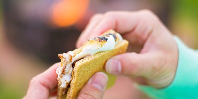 The Art of Crafting the Perfect S&#39;more