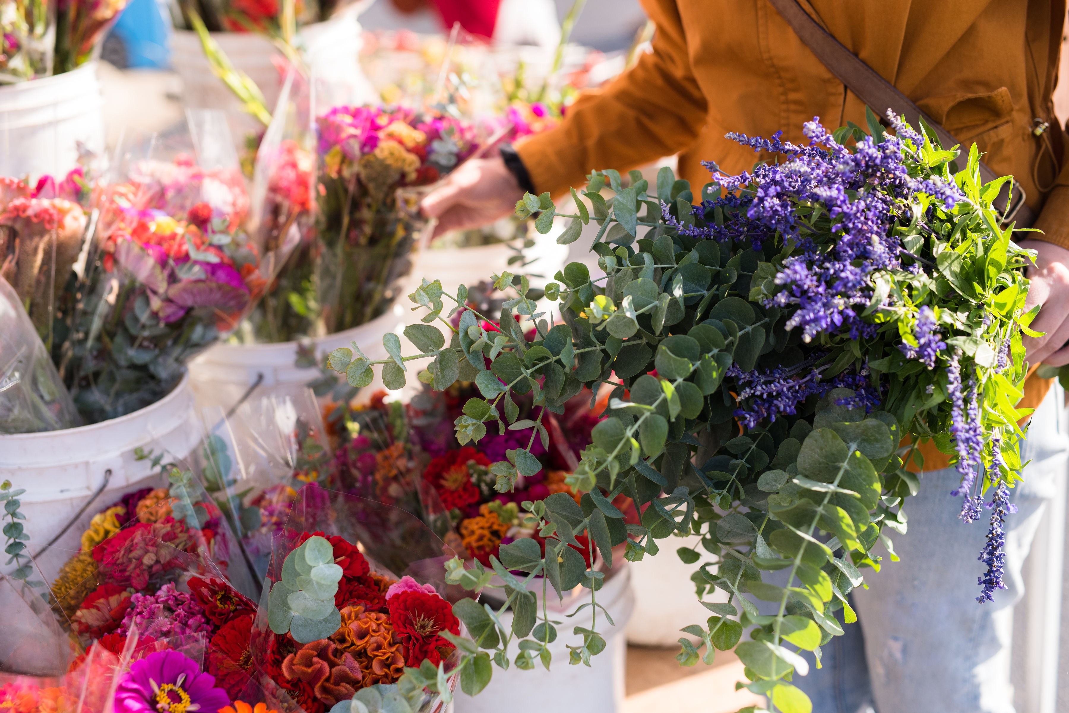 Kankakee Farmers Market Photo