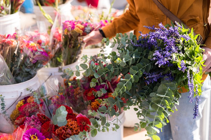 Kankakee Farmers Market Photo