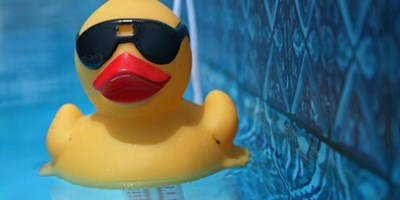Care Camps Rubber Duck Derby - Labor Day Weekend!