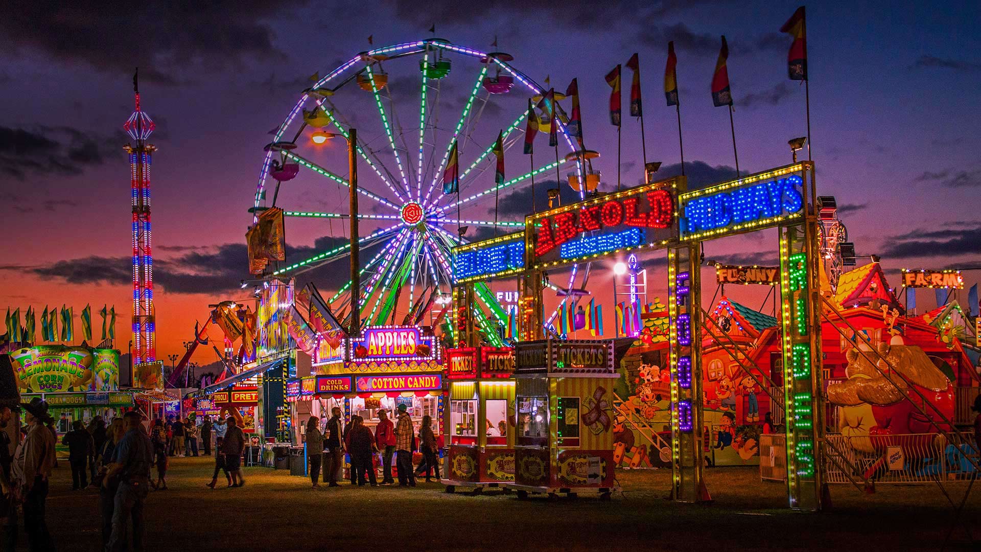 Kankakee County Fair Photo