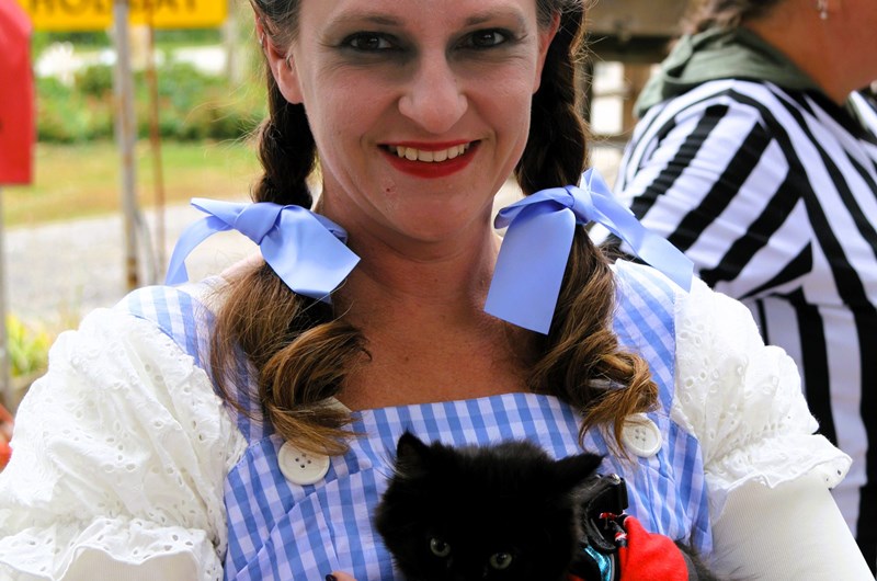 Halloween Weekend #2 Photo