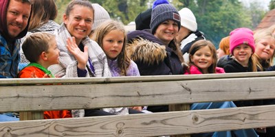 Saturday Wagon Rides