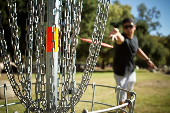 Frisbee Golf