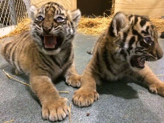 Topeka Zoo