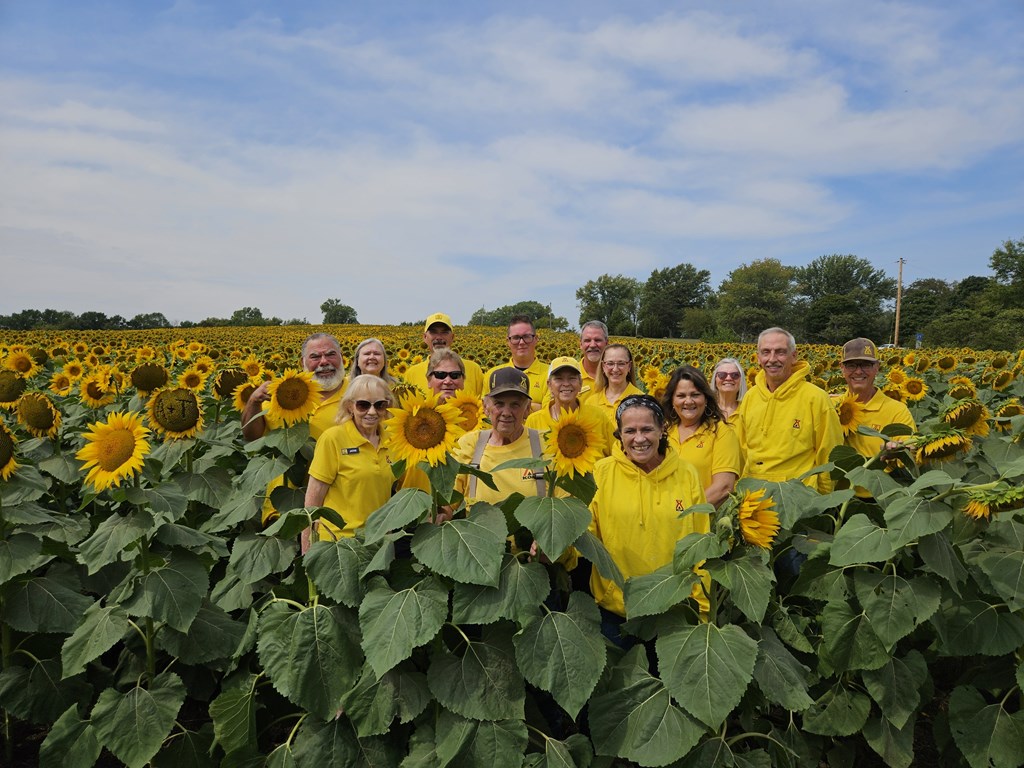 Grinter's Sunflower Farm