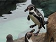 Kansas City Zoo