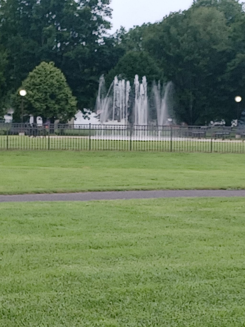 Local area fun