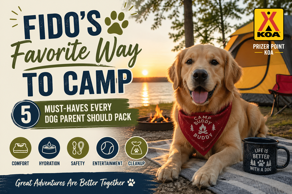 🐾 Camping with Dogs: 5 Must-Haves - A Pet-Friendly KOA Trip