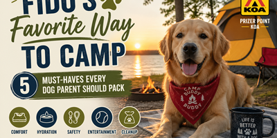 🐾 Camping with Dogs: 5 Must-Haves - A Pet-Friendly KOA Trip