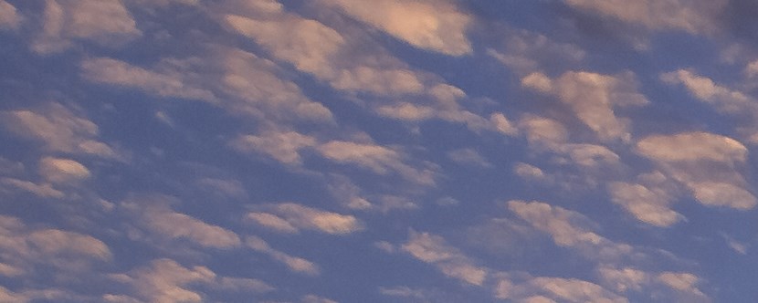 Cadiz, Kentucky Campground | Kentucky Lakes / Prizer Point KOA