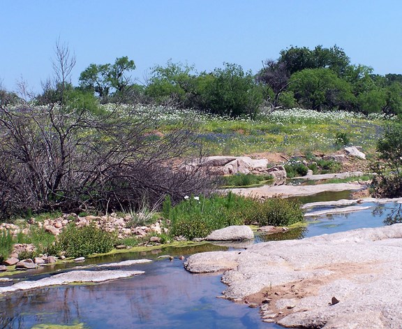 Hill Country Day Tours