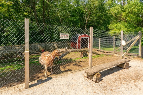 Animal Pen