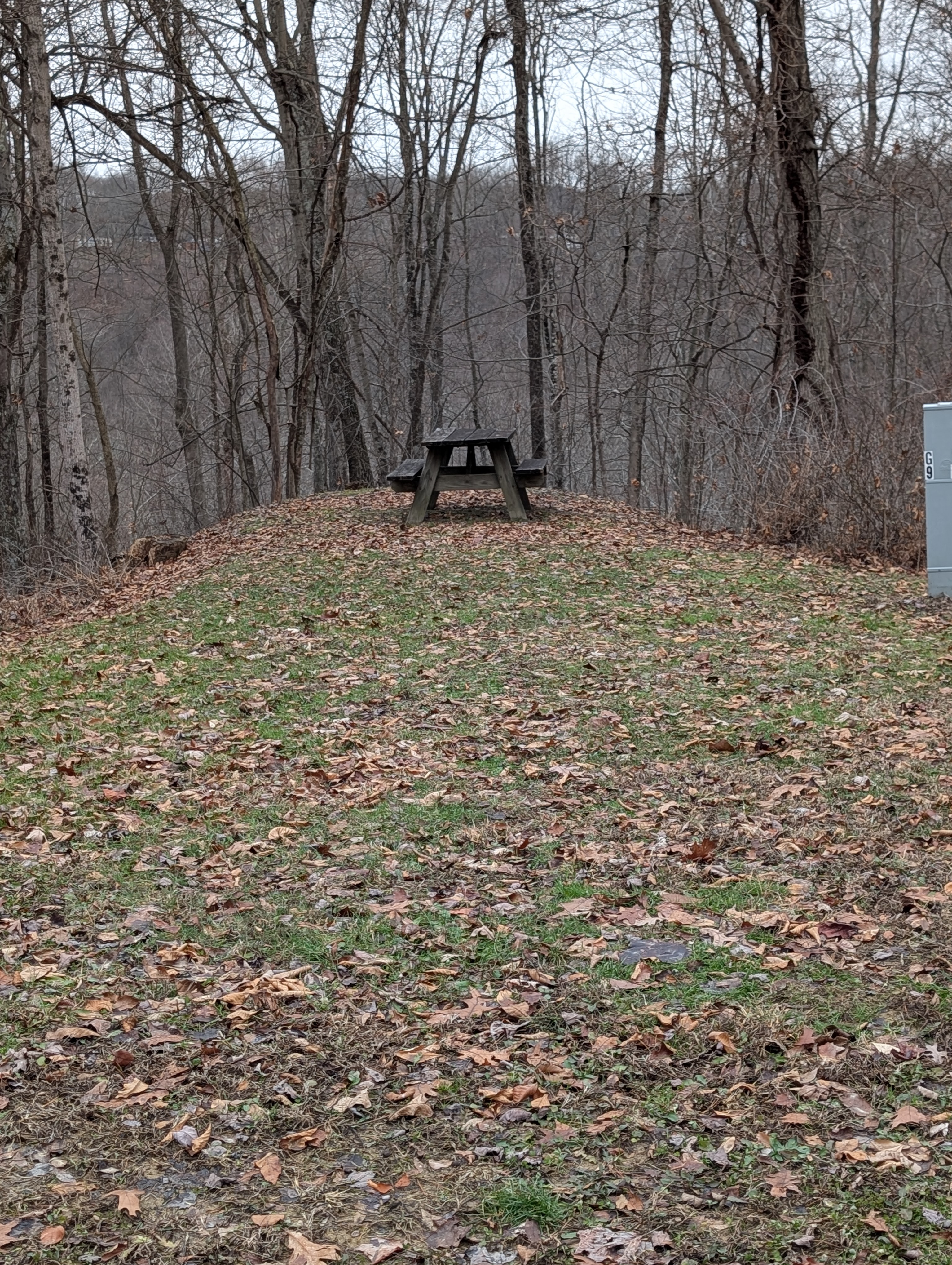 G09