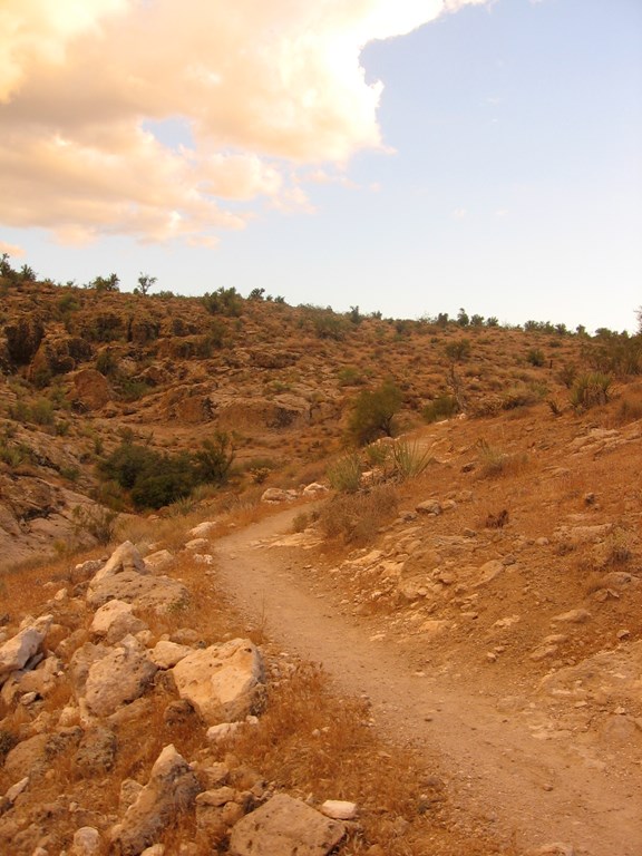 Mountain Biking