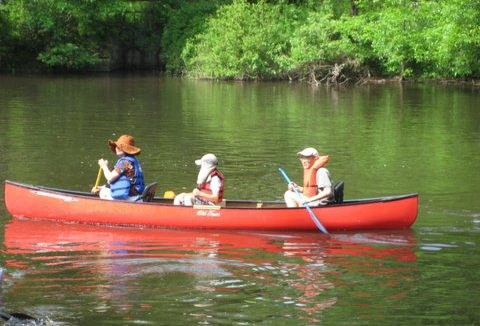 Canoe Trips