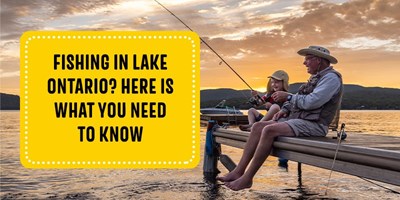Fishing in Lake Ontario? Here Is What You Need to Know