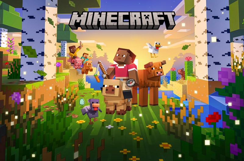 Minecraft Weekend Photo
