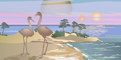 Tropical Paradise Weekend