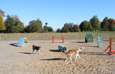 1000 Islands / Kingston KOA Holiday