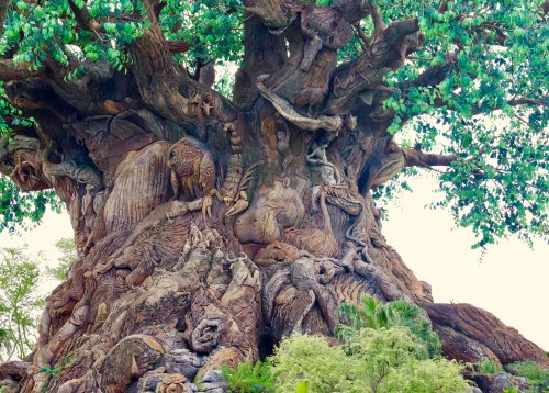 Disney's Animal Kingdom