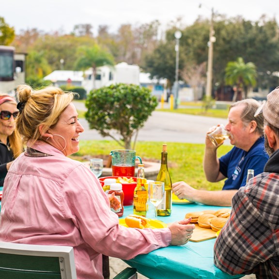 Plan a trip to Bayonet Point, Florida