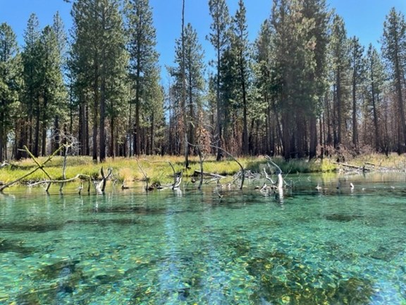 Spring Creek