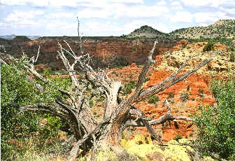 Comanche National Grasslands