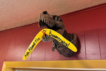 Boomerang 15% Discount