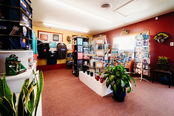 Gift Shop/Store