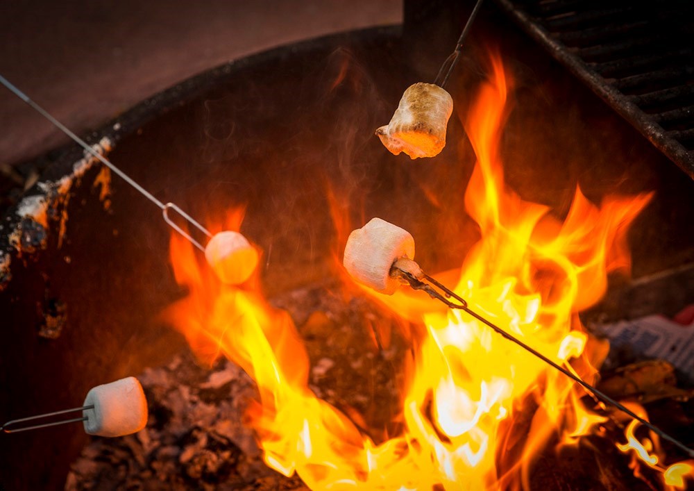 The Science Of Roasting The Perfect Marshmallow