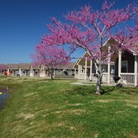 lake-conroe