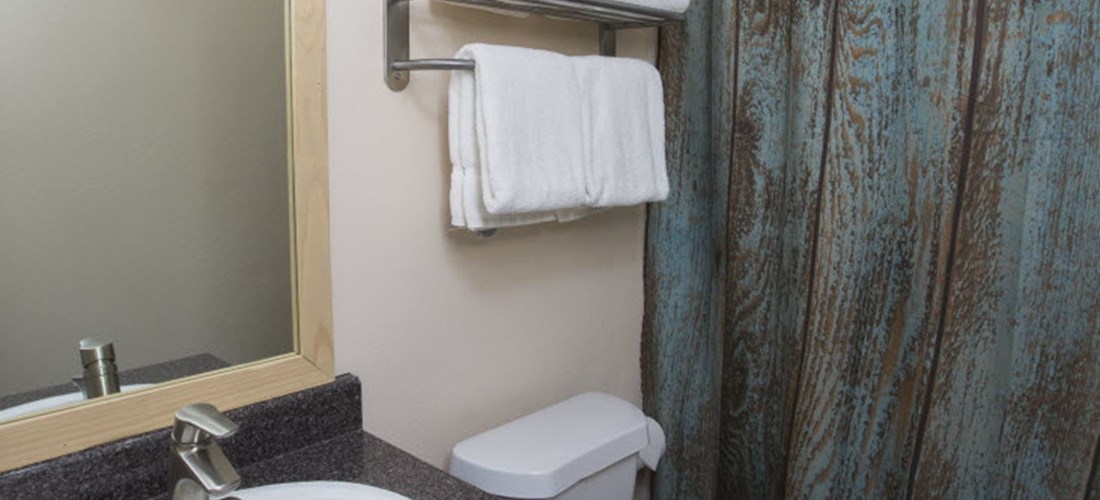 Bathroom with shower in Deluxe Cabin