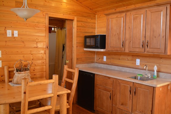 Kitchen Area in Deluxe Cabin